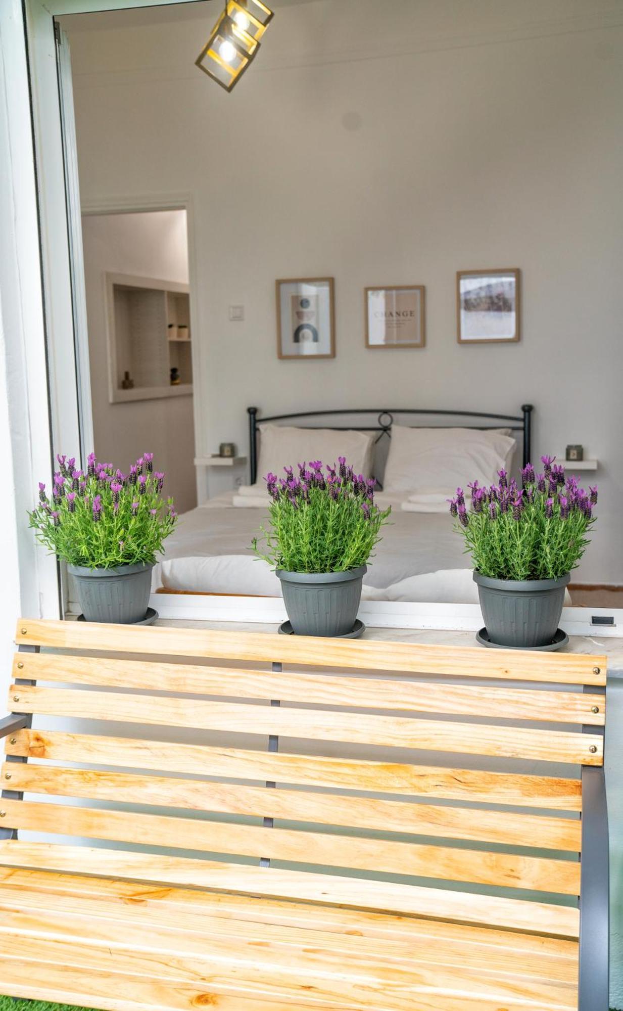 Lux Garden Apartment Near Acropolis In The Heart Of เอเธนส์ ภายนอก รูปภาพ