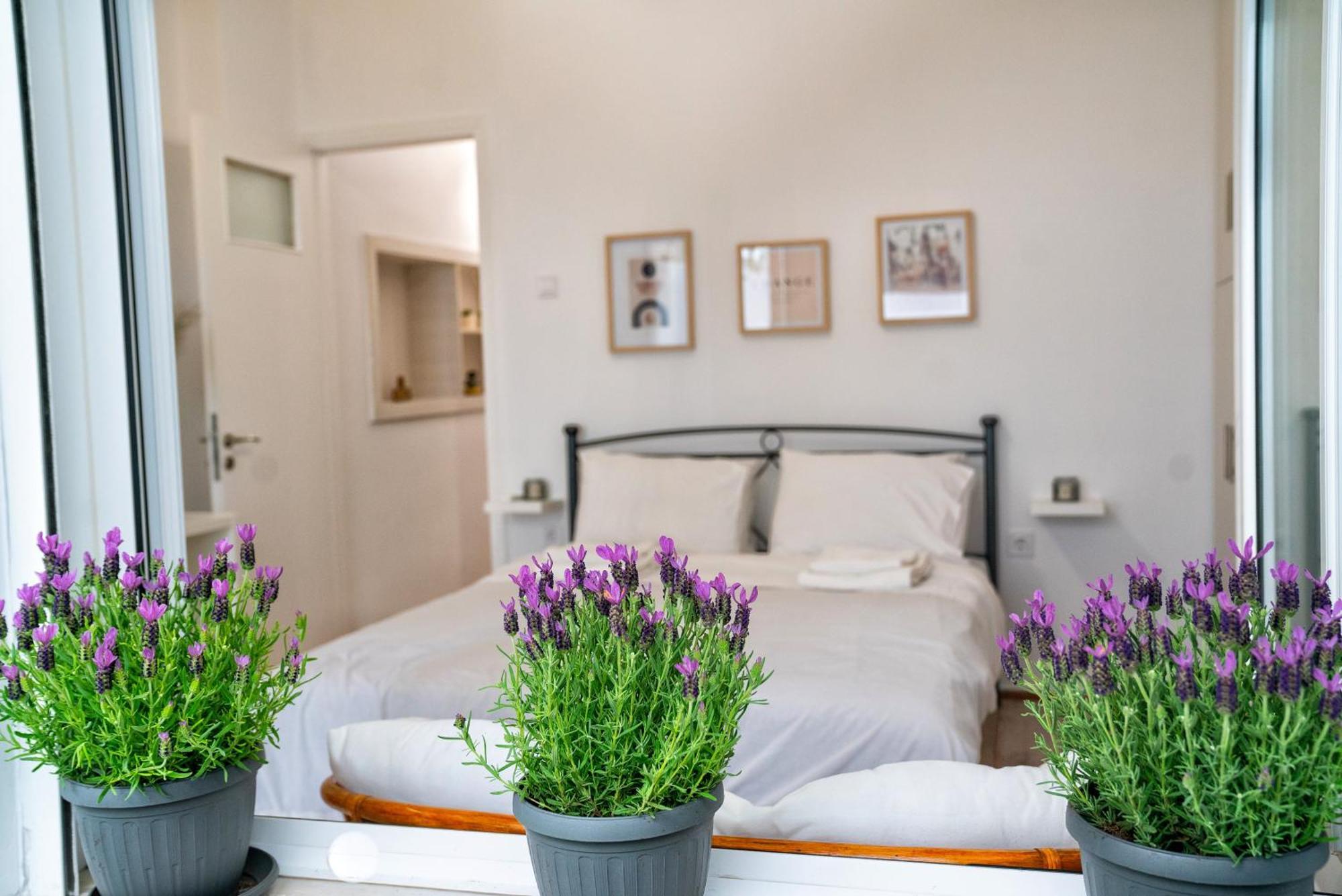 Lux Garden Apartment Near Acropolis In The Heart Of เอเธนส์ ภายนอก รูปภาพ